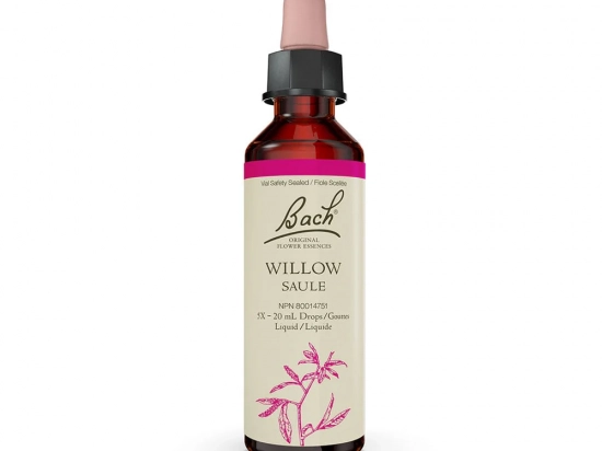Bach flower remedy - Willow