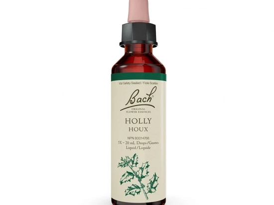 Bach flower remedy - Holly