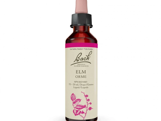 Bach flower remedy - Elm