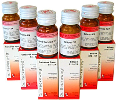 BIO 87 - Dr Reckeweg-30ml