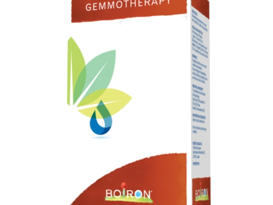 Prunus Amygdalus Gemmotherapy 1DH