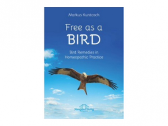 Free as a Bird - Kuntosch