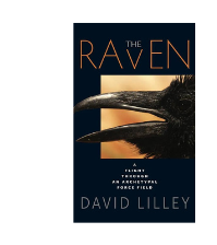 The Raven – A Flight through an Archetypal Force Field by David Lilley