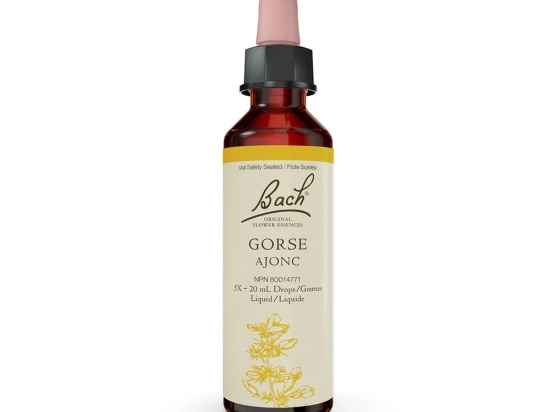 Bach flower remedy - Gorse