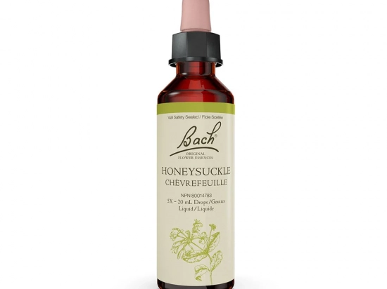 Bach flower remedy - Honeysuckle