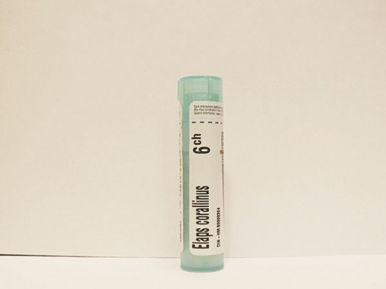 Elaps Corallinus - Boiron