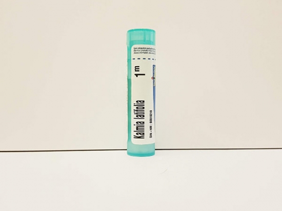 Kalmia Latifolia - Boiron