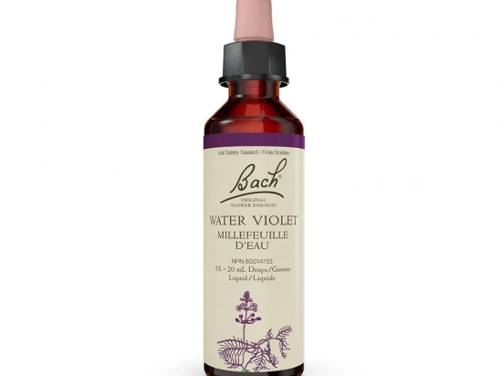 Bach flower remedy - Water Violet
