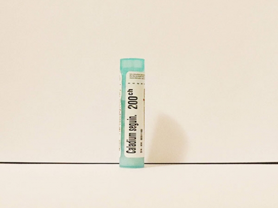 Caladium Seguinum - Boiron