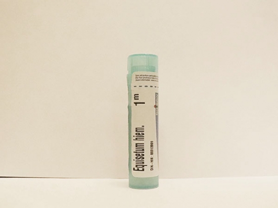 Equisetum Hiemale Hyemale - Boiron