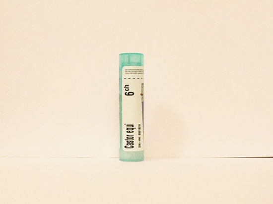 Castor Equi - Boiron