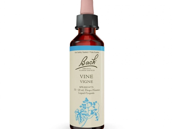 Bach flower remedy - Vine