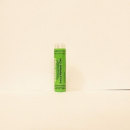 Arnica montana - Schmidt-Nagel