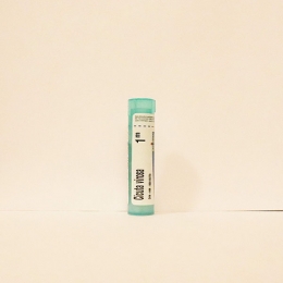 Cicuta Virosa - Boiron