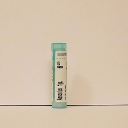 Aesculus Hippocastanum - Boiron