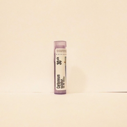 Carboneum Sulphuratum - Boiron