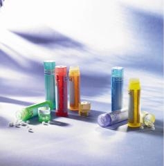 Gnaphalium Polycephalum - Boiron