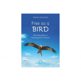 Free as a Bird - Kuntosch