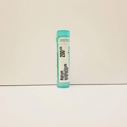 Natrum Sulphuricum - Boiron