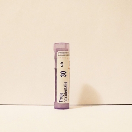 Thuja Occidentalis (Thuya) - Boiron