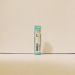 Calendula Officinalis - Boiron