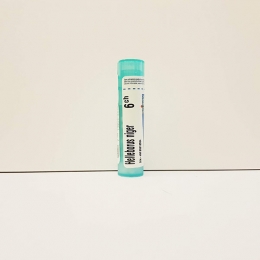 Helleborus Niger - Boiron