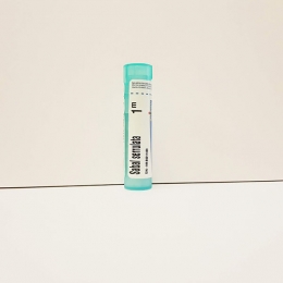 Sabal Serrulata - Boiron