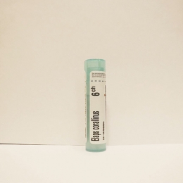 Elaps Corallinus - Boiron