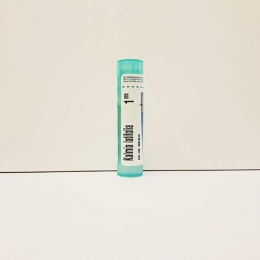 Kalmia Latifolia - Boiron