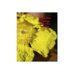 Costa Rica Provings - Scholten