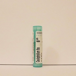 Caulophyllum Thalictroides - Boiron