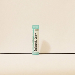 Caladium Seguinum - Boiron