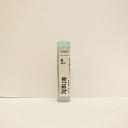 Digitalis Purpurea - Boiron