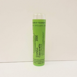 Crotalus Cascavella - Schmidt-Nagel