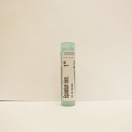 Equisetum Hiemale Hyemale - Boiron