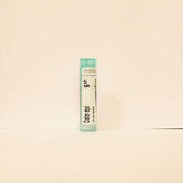 Castor Equi - Boiron