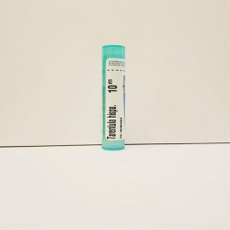 Tarentula Hispana - Boiron