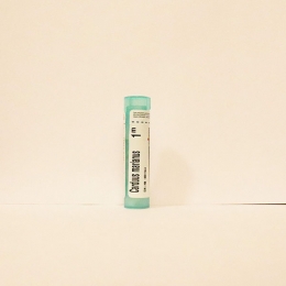 Carduus Marianus - Boiron