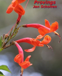 Kenton Provings - Scholten