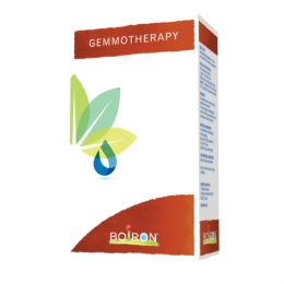 Rosmarinus Officinalis Gemmotherapy 1DH