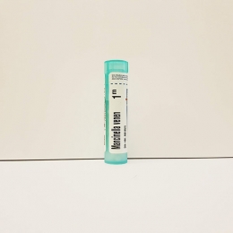 Mancinella Venenata - Boiron